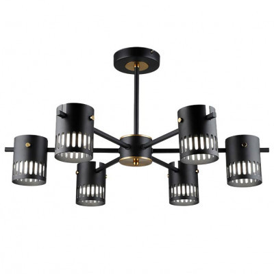 Люстра 6674/6 BK+COP