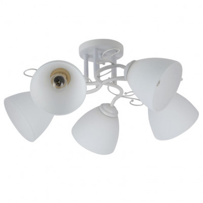 Люстра 20129/5WT WT