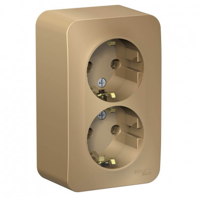 BLNRA010214 розетка 2-ая ОУ с зк без шт. титан