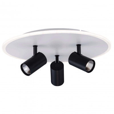 Люстра 2467/460 WHITE+BLACK
